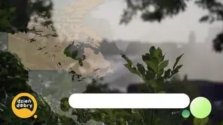 Niagara - więcej niż wodospad (napisy)