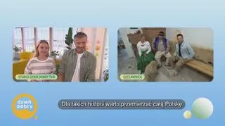 Z meeeełości do czterech kopytek - napisy