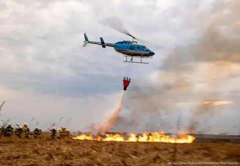Pożar w Biebrzańskim Parku Narodowym. Przerażające sceny