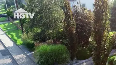 20240626_HGTV_NMWO_Zywoplot