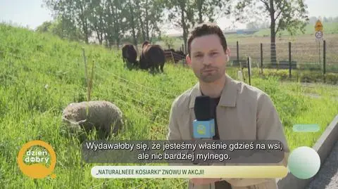 Klatka kluczowa-441156