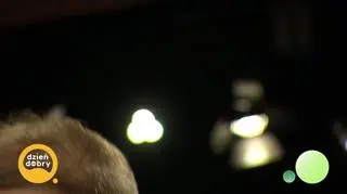 Skrzypce rozbrzmiały w Toruniu