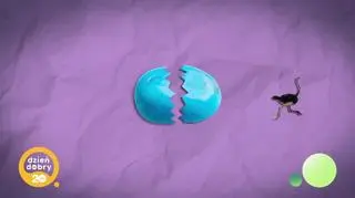 20 niezapomnianych: podróże małe i duże - napisy