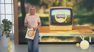 Newsy