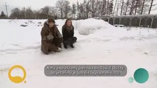 Kruk, który zamieszkał z ludźmi – napisy