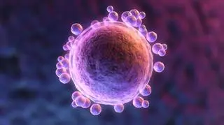 Kobiety będą mogły zamrażać komórki jajowe