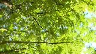 Uwaga! TVN: Brutalna bójka nastolatek w Brzozowie