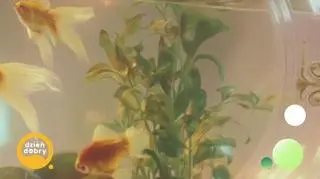 Natalia Nykiel – „Gramy na czas”  