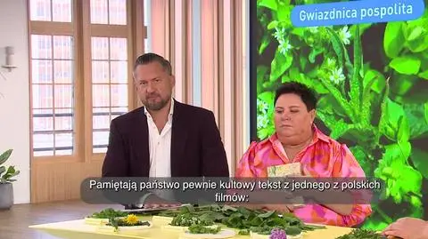 DD_20240429_Chwasty_REP_napisy