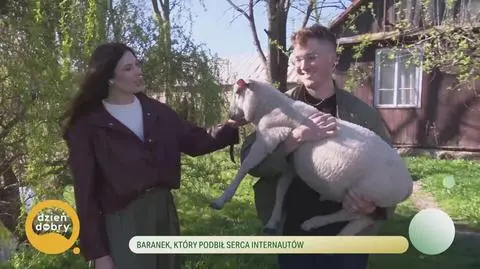 Klatka kluczowa-380895