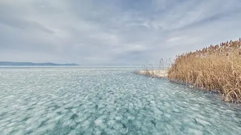 Co to są morszkulce? 