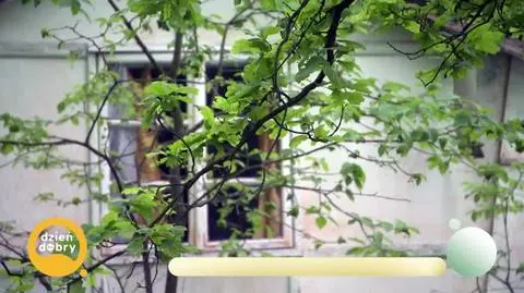 DD_20250625_Kolonie_rep_napisy