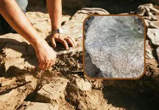 W Małopolsce odkryto ogromną kość. Do kogo należała? 