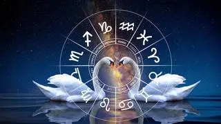 Ilustracja astrologiczna, łabędzie i znaki zodiaku