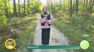 Pogoda na dziś 