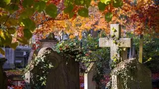Pogoda na Wszystkich Świętych i Zaduszki. Czy będzie potrzebny parasol?