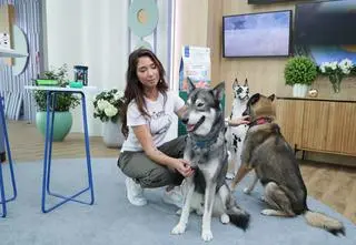 Pierwsze wakacje z pupilem. Tych rzeczy nie może zabraknąć w psiej apteczce 