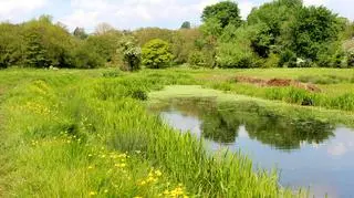 To jedno z najrzadszych zwierząt w Polsce. Nie uwierzysz, że możesz je spotkać