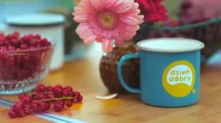 Dzień Dobry TVN: co będzie w programie w niedzielę, 12 października?