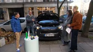 Jak odstraszyć kuny? 