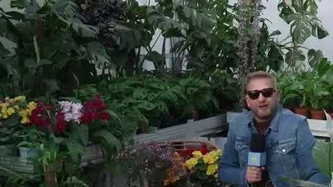 Sadzimy wiosenne kwiaty 