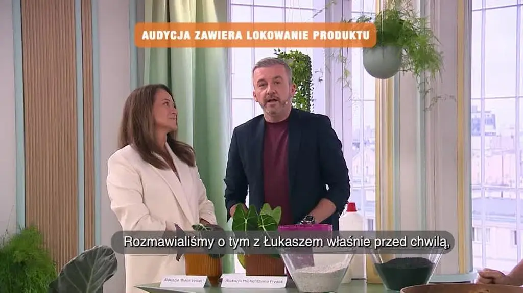 DD_20250327_Alokazja_REP_napisy