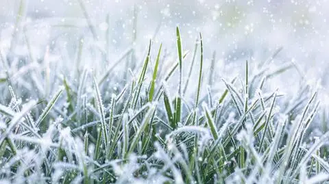 Jaka będzie pogoda w poniedziałek, 27 listopada? 