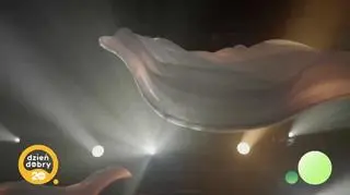 Na trasie koncertowej u Igo (napisy)