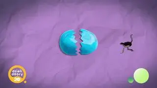 20 niezapomnianych: Początki “Dzień Dobry TVN” - napisy