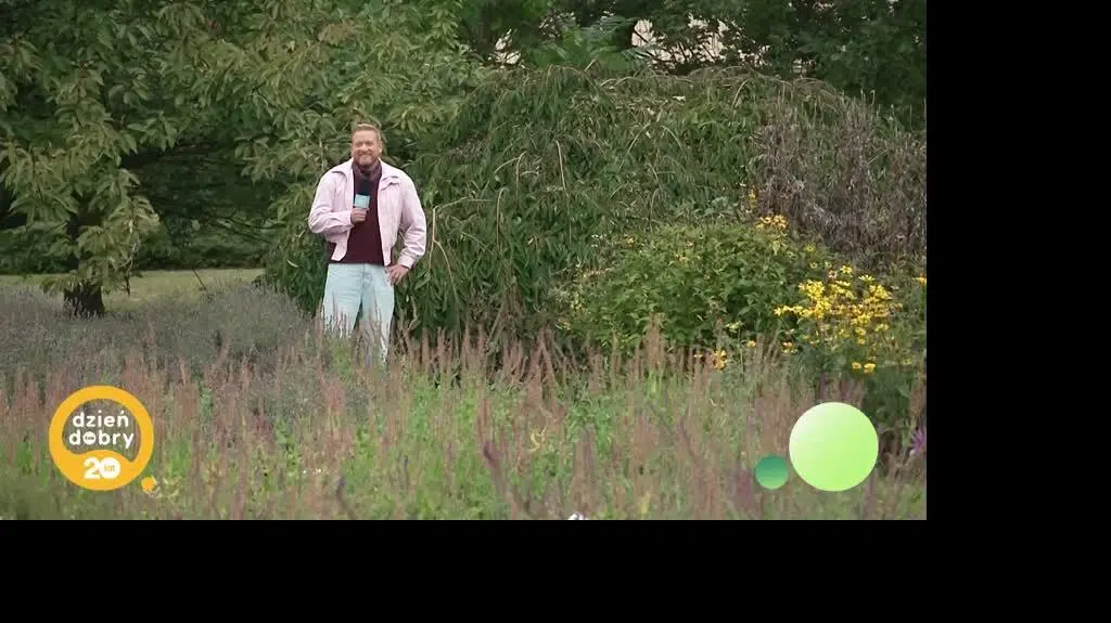 DD_20251001_Pogoda