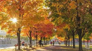 Pogoda na piątek. Znowu wyjrzy słońce