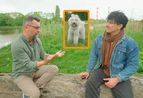 Traktujesz psa jak dziecko? "On po prostu może być nieszczęśliwy"