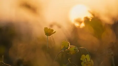 Ile trwają wakacje i lato 2023? Uczniowie mają rekordowo długie wolne