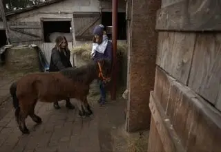 "Inspirujące kobiety". Ratują zwierzęta skazane na śmierć