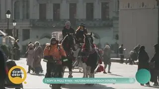 Adwokat dorożkarzem. Rodzinna tradycja od pokoleń