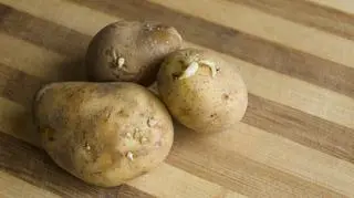  Biotechnolog ostrzega przed takimi ziemniakami. "Wyrzuć, nie jedz"