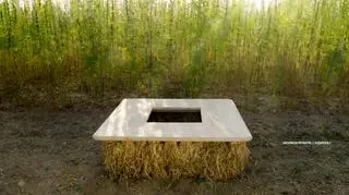 Tworzy meble z konopi. "Były zgłoszenia na policję"