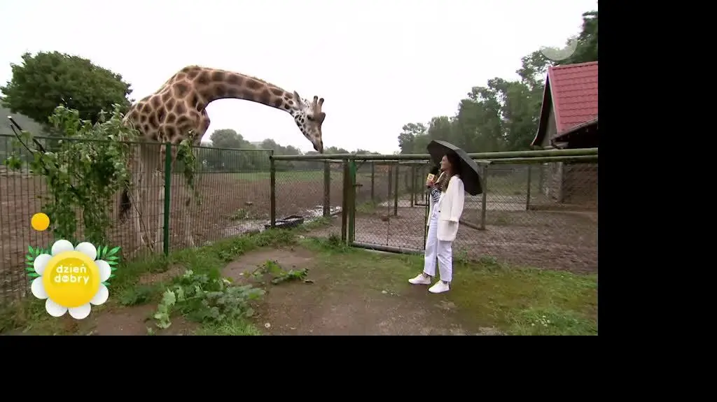 Z wizytą w gdańskim ZOO