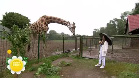 Z wizytą w gdańskim ZOO