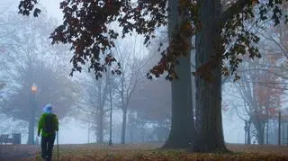 Wyż dominujący nad Polską zacznie gnić. Szykujmy parasole i ciepłe swetry