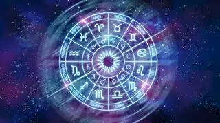 Znaki zodiaku