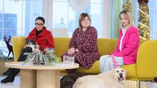 Nadwaga i otyłość u psów. W jaki sposób można sobie z nią poradzić? 