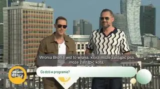 Wrona z Warszawy podbija serca internautów - napisy