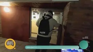 Dziki lokator – gangster i świadek koronny