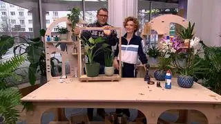 Czy podświetlany kwietnik z odpadków może wyglądać elegancko?