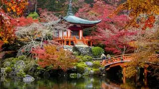 W Japonii trwa polowanie na czerwone liście