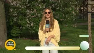 Co dziś w pogodzie? 