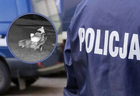 Kradzież w minizoo. Złodziej zabrał quada z jedzeniem dla zwierząt [NAGRANIE]