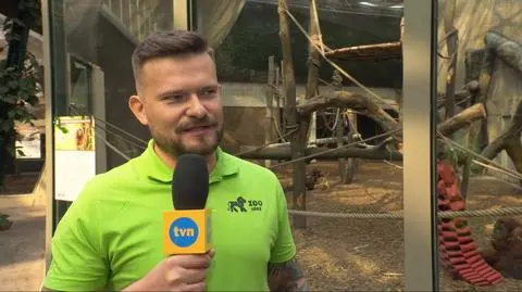 Łódź. Orientarium w ZOO. Kiedy otwarcie?