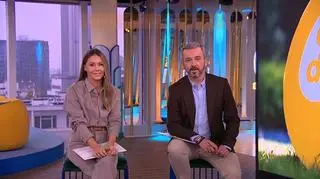 Jak niedźwiedzie przygotowują się do zimy?